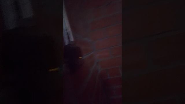Забыли про тестировать некоторые домофоны 2 часть