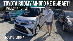 Паника на рынке! Машины из Японии сметают перед 1 ноября! Что нас ждёт?