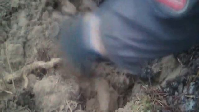 В ПОИСКАХ ТАНКА И ПРЕДМЕТОВ ВОЙНЫ #2 смотреть онлайн