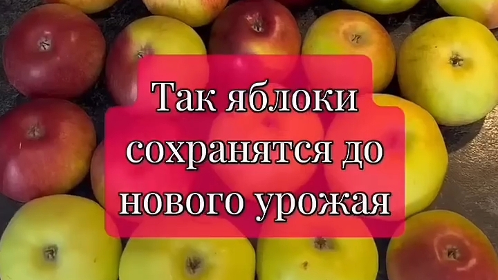 ЛАЙФХАК - как сохранить Яблоки на долго...🍏🍎💯😋