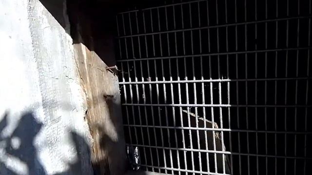 Болгария. Не традиционный Болгарский Дом. Какие бывают дома в сёлах.