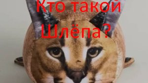 * Шлёпа * МЧС Голубинской области