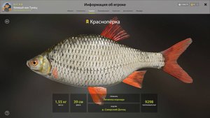 ТРОФЕЙ КРАСНОПЕРКА!!!СЕВЕРСКИЙ ДОНЕЦ - РУССКАЯ РЫБАЛКА 4