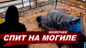 ОН СПАЛ НА МОГИЛЕ МАМЫ. Я проведал его на могиле… И вот что случилось!PSB7-PRO Spirit Box.