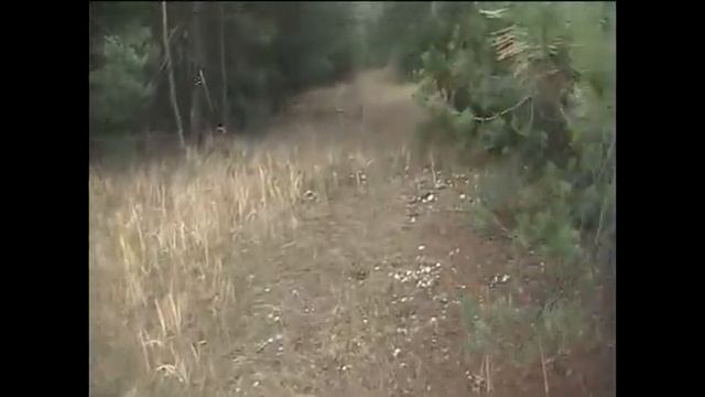 КАК ВЫЖИТЬ НА 1000 РУБЛЕЙ. ДЕНЬ 1-3 смотреть онлайн