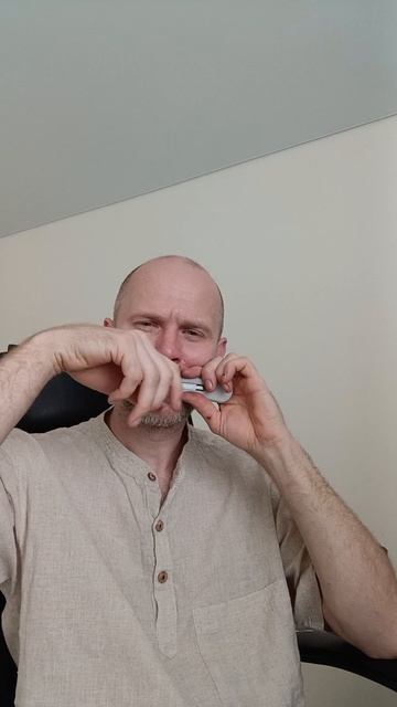 Варган ночная звезда Ми