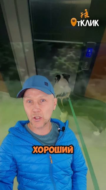 Плохой совет