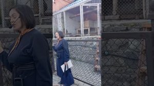 Приматы Челябинского зоопарка