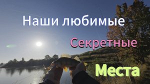 Приятная РЫБАЛКА весело ловим ОКУНЕЙ.