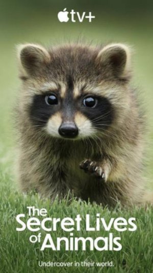 Тайная жизнь животных «Воспитание семьи»