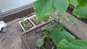 Шум дождя!!!