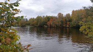 Пеший поход от деревни Степаньково до Пушкино по берегу Учинского водохранилища.