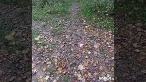 "Осень зимушку ждёт!"