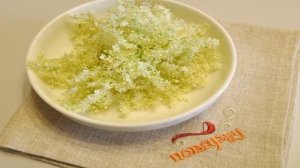 Компот из цветков бузины