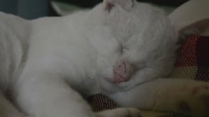 Октябрьский воскресный день