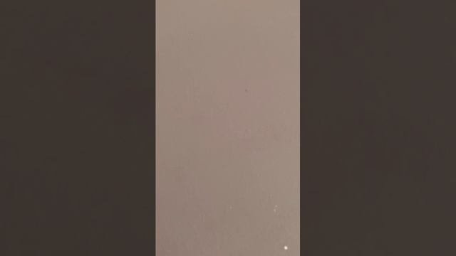 влог