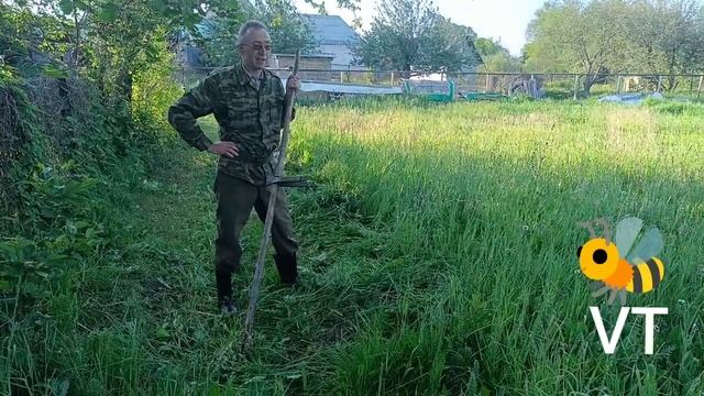 Косим и жужжим:)(:)