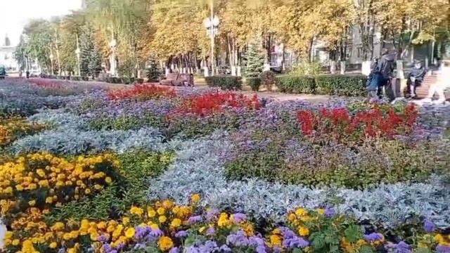 До свидания Губкин 04.10.25.
