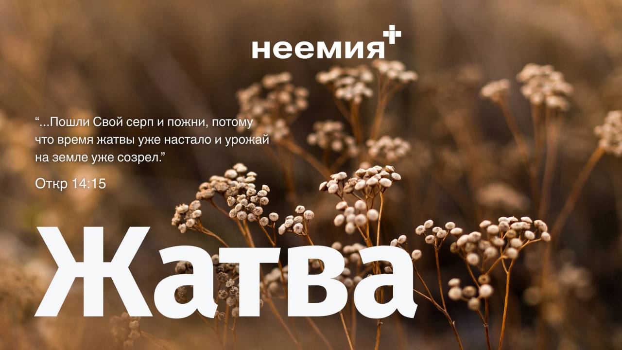 Жатва | Церковь 