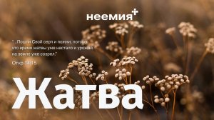Жатва | Церковь "Неемия" г. Омск