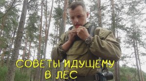 Советы идущему в лес.