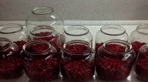 Компот из брусники на зиму