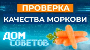 Проверка качества моркови