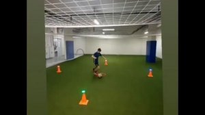 Комплекс упражнений