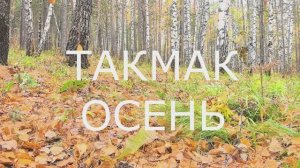 ТАКМАК ОСЕНЬ 2025 СТОЛБЫ КРАСНОЯРСК