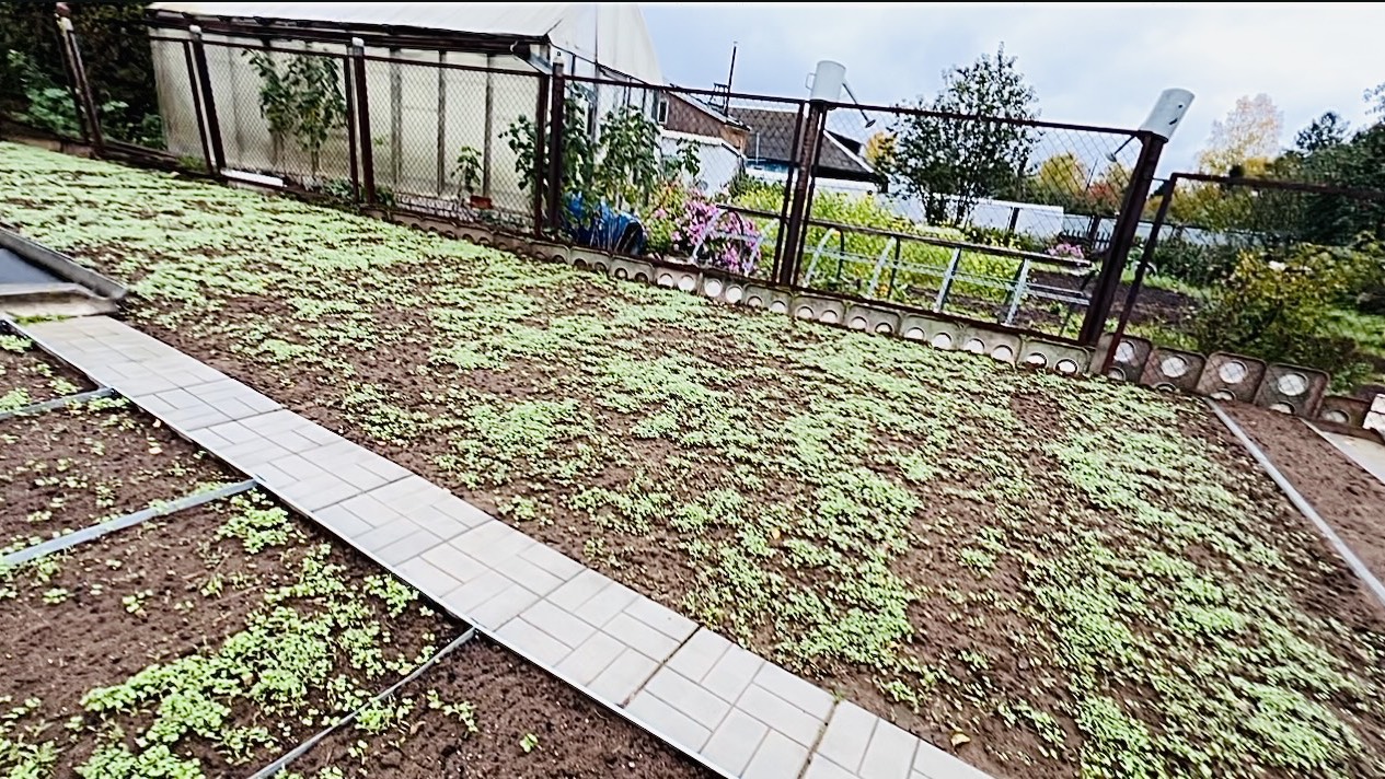 27 сентября. Часть 2. ОБЗОР ОГОРОДА на КОНЕЦ СЕНТЯБРЯ.