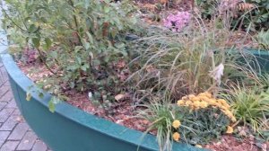 Гуляем по Москве. Осень на Манежной площади.