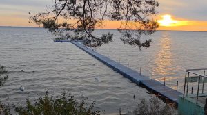 эфир в записи. тема:нужно ли отдавать пенсию детям?