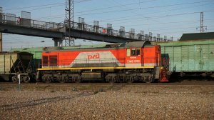 Тепловоз ТЭМ2-1555