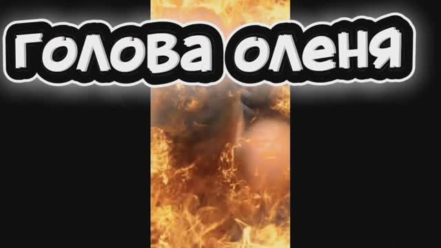 Смешное видео