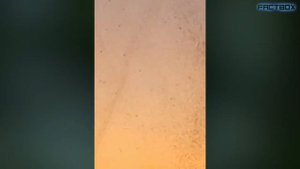 Ученые В ТУПИКЕ! Случаи Один На Миллион, Когда Природа Сошла С Ума! #12