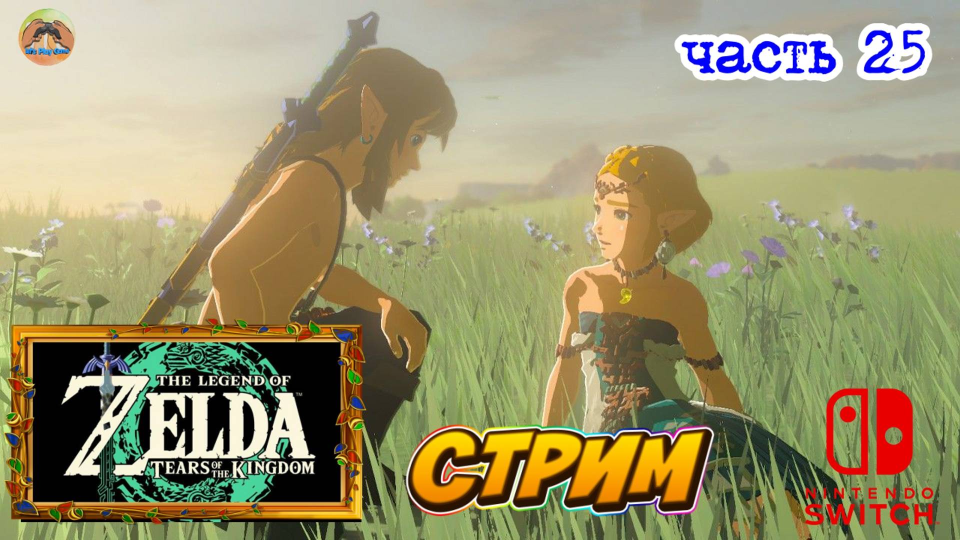The Legend Of Zelda Tears Of The Kingdom -=- ЧАСТЬ 25