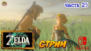 The Legend of Zelda Tears of the Kingdom -=- ЧАСТЬ 25