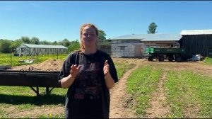 СКОЛЬКО ДЕНЕГ УХОДИТ НА СОДЕРЖАНИЕ ЖИВОТНЫХ У РЫЖЕГО ФЕРМЕРА