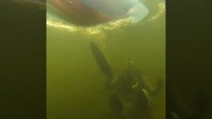 Водолазы приколисты