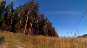 Ура едем в лес .Природа солнце