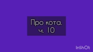Про кота ч. 10
