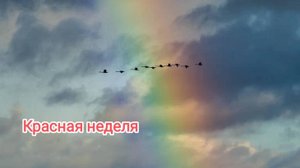 СП "Радуга 4" участник 9. Красная неделя!