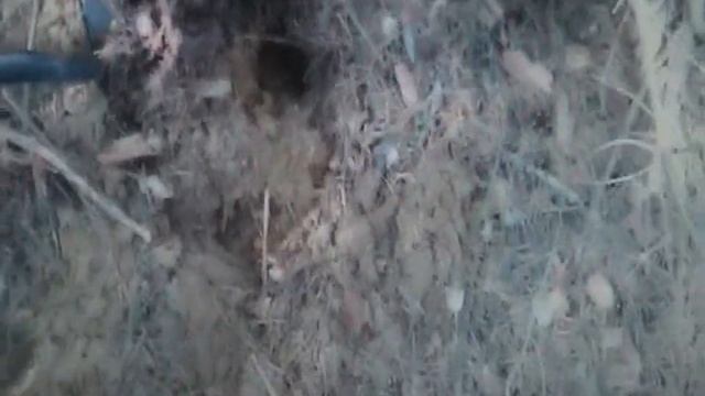 В ПОИСКАХ ТАНКА И ПРЕДМЕТОВ ВОЙНЫ #3 смотреть онлайн