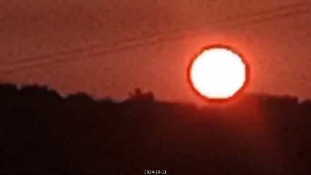 2024-10-11_7424592882390060295_1080p [gentle_tv_3]