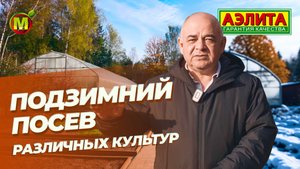 ПОДЗИМНИЙ ПОСЕВ. Что посеять под зиму?