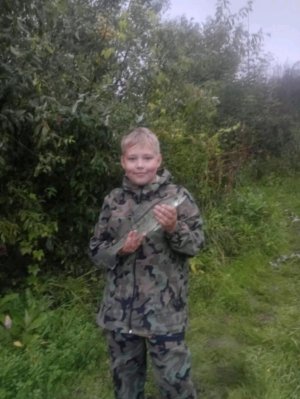 чёрный волк