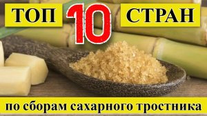 Сахарный тростник: ТОП 10 стран по сборам сахарного тростника (1960–2023)