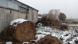 лето пролетело. итоги . 4 октября 2025 .