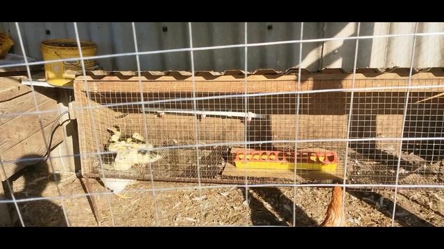 Работа по хозяйству, подготовка к рейсу — всего понемножку.