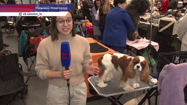 Выставка 